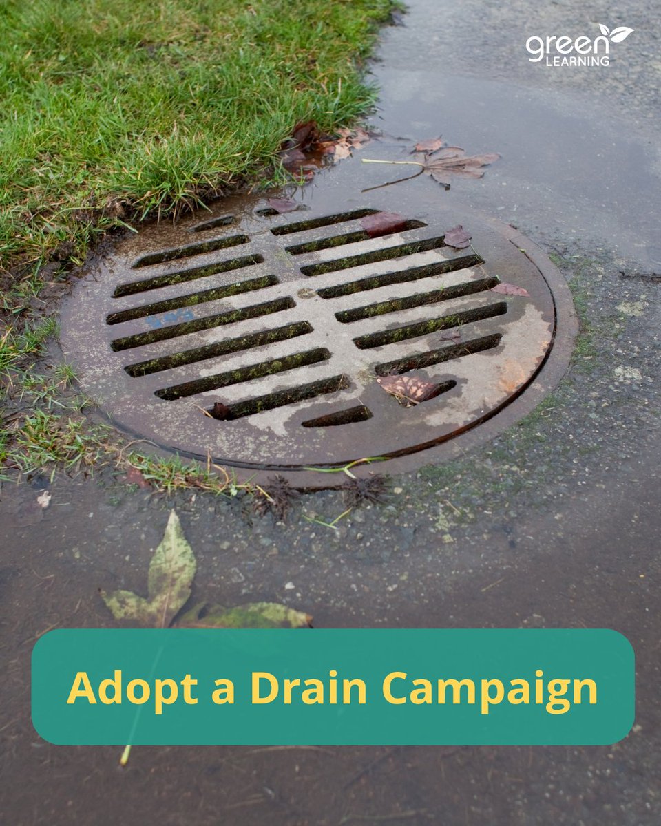 GreenLearning tweet media