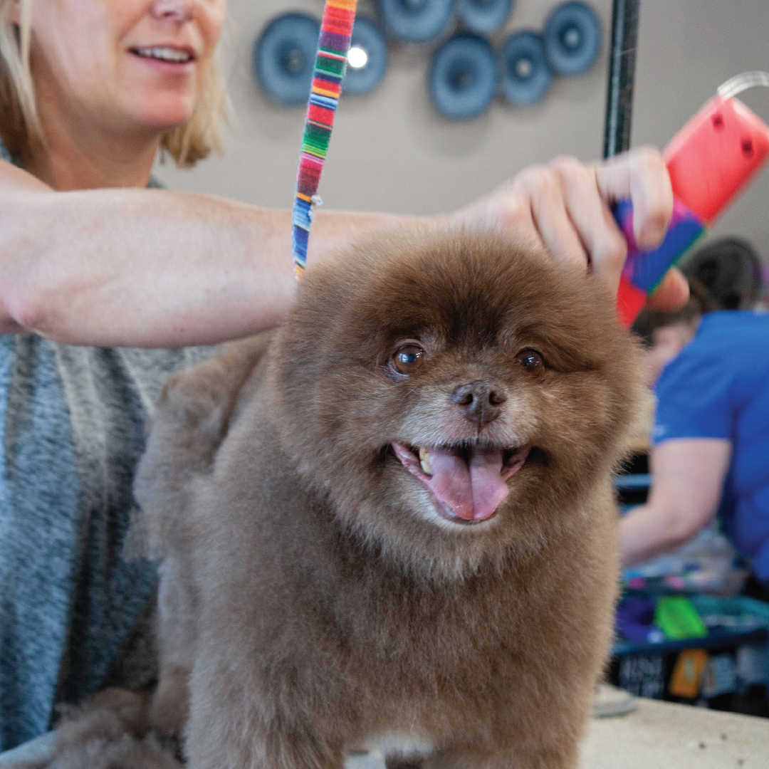 Jackson Magazine tweet media