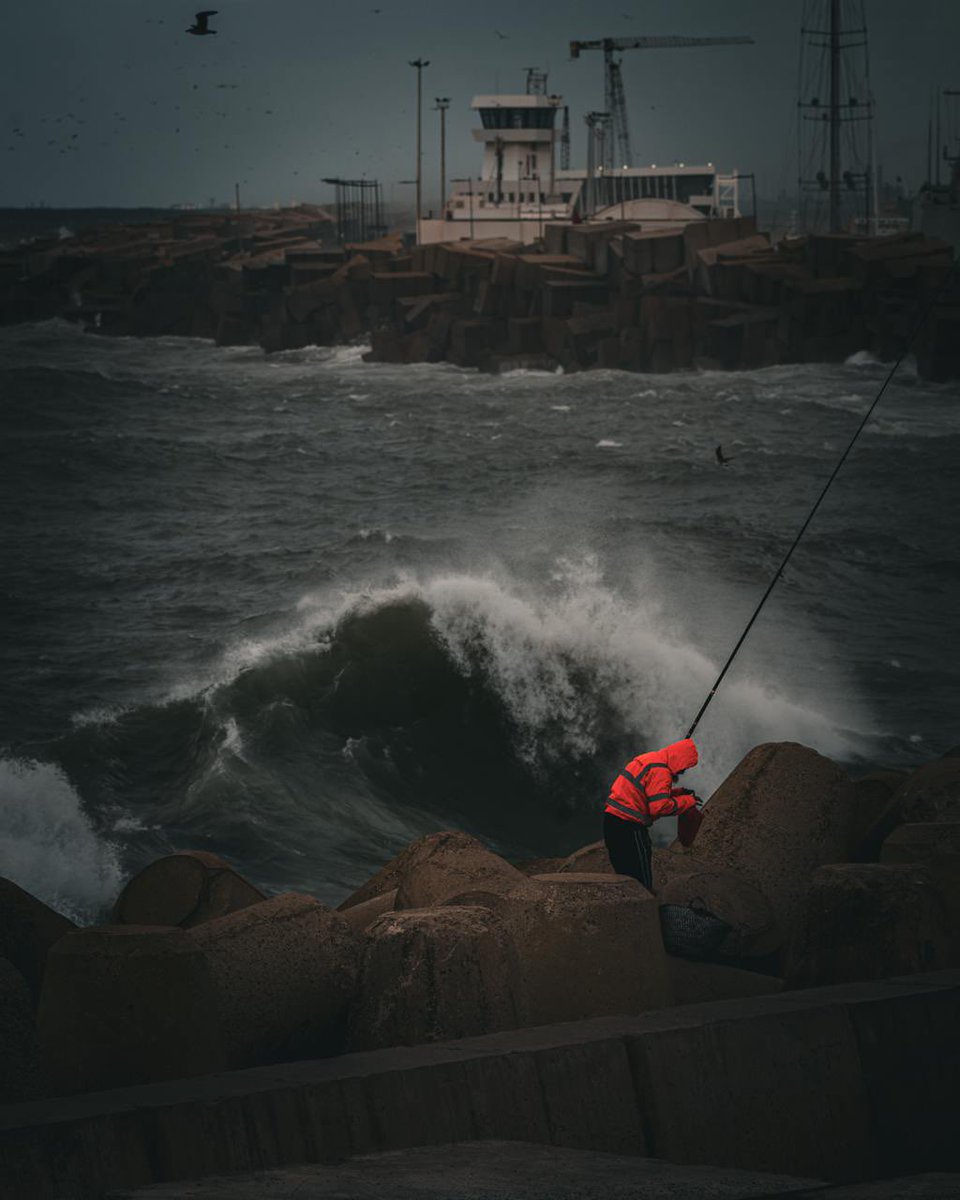 Sergei Egorov tweet media