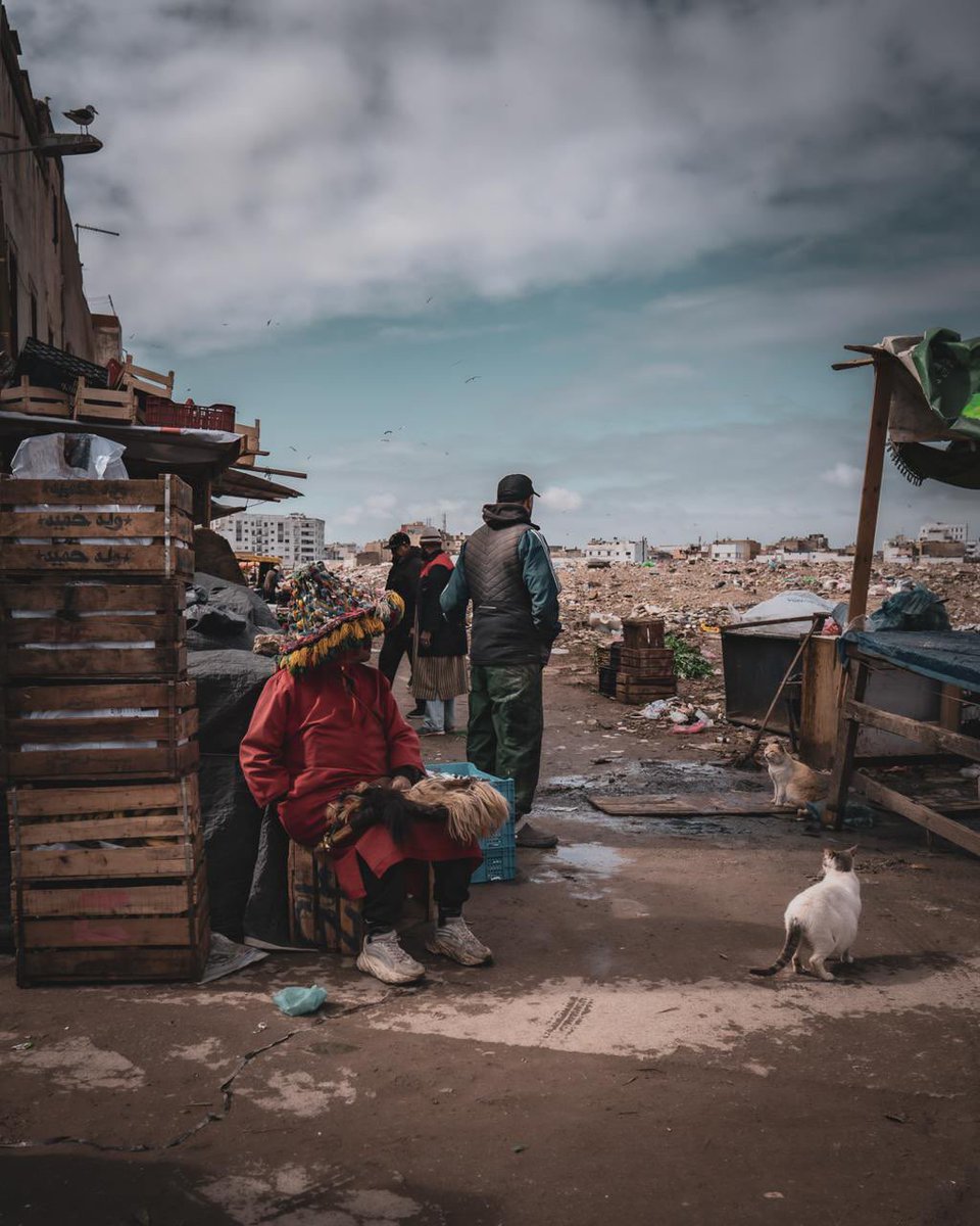 Sergei Egorov tweet media