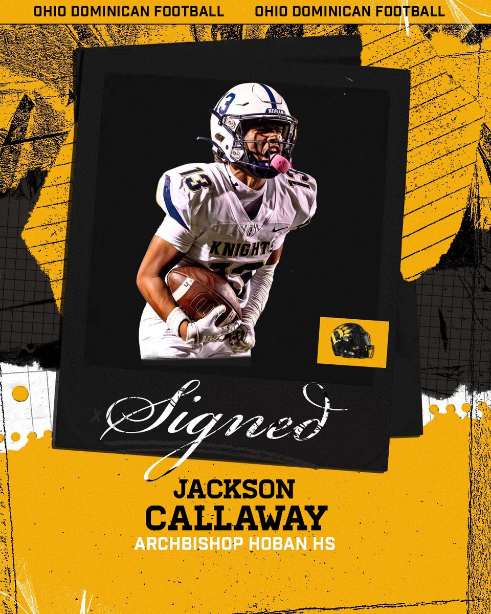 Ohio Dominican Football tweet media