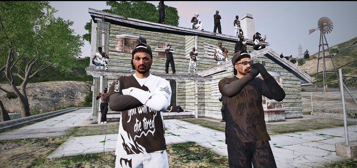 papillon tweet media