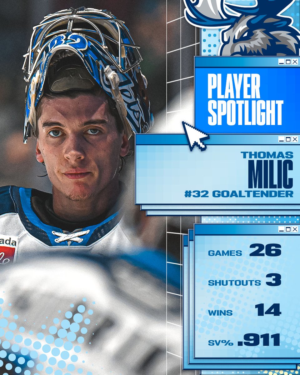 Manitoba Moose tweet media