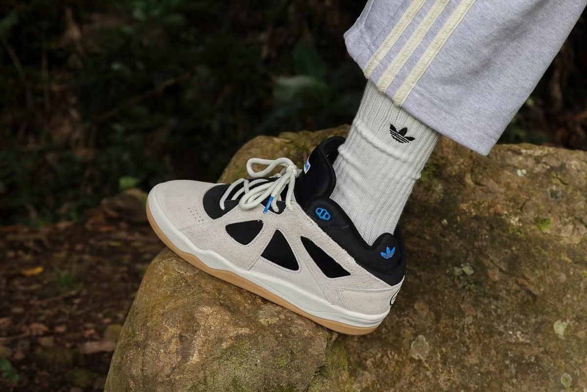 Modern Notoriety tweet media