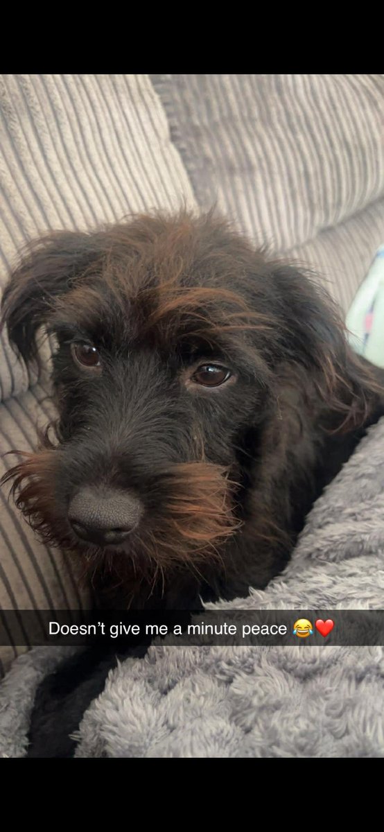 chris towers tweet media