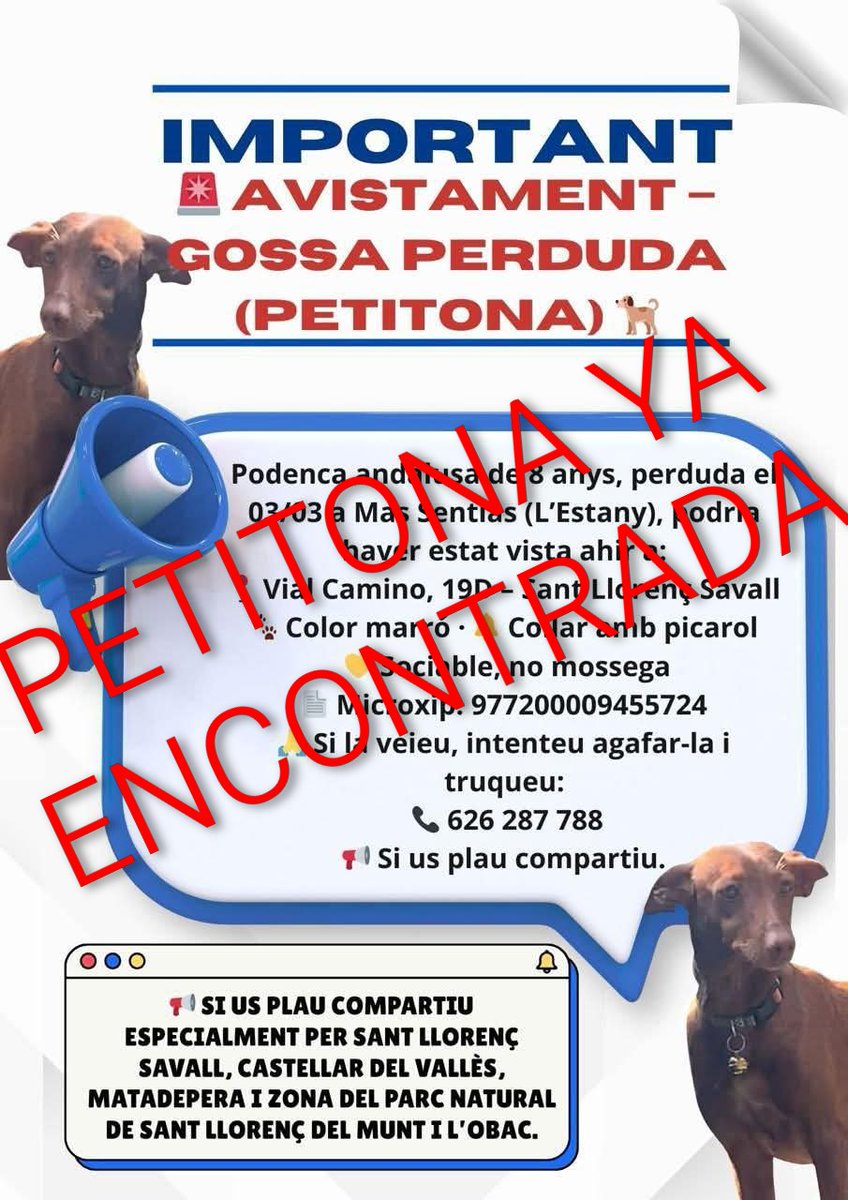 areagossosbdn's tweet photo. ⚠️ACTUALIZACIÓN⚠️
PETITONA la perrita perdida en #lEstany #Moià
#Barcelona, ya ha sido encontrada.
Gracias a tod@s por la difusión
👏👏👏
#XarxaBarcelonaTrobats
#FemXarxa https://t.co/wgKDwY5xmO