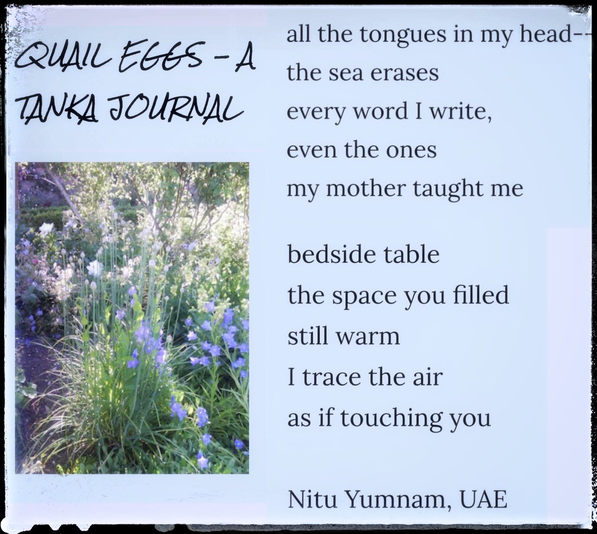 Nitu Yumnam tweet media