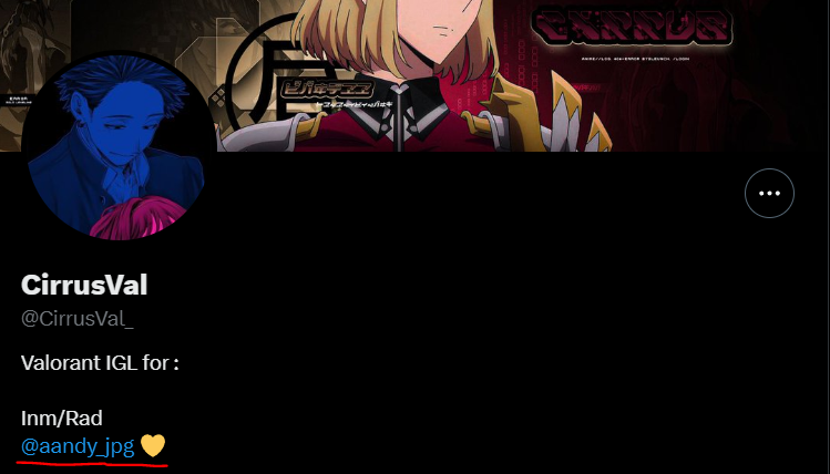 DMNX Candal tweet media