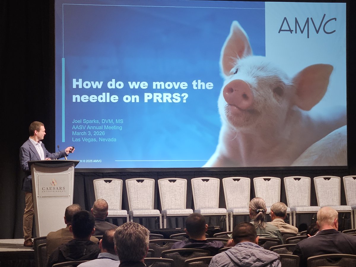 AMVCLLC's tweet photo. Each year, many AMVC vets attend the American Association of Swine Veterinarians annual meeting. This event provides them an opportunity to stay up to date on relevant research, industry updates, and networking opportunities.
Pictured: Dr. Joel Sparks and Dr. Jeff Harker https://t.co/1DlwiHD0Av