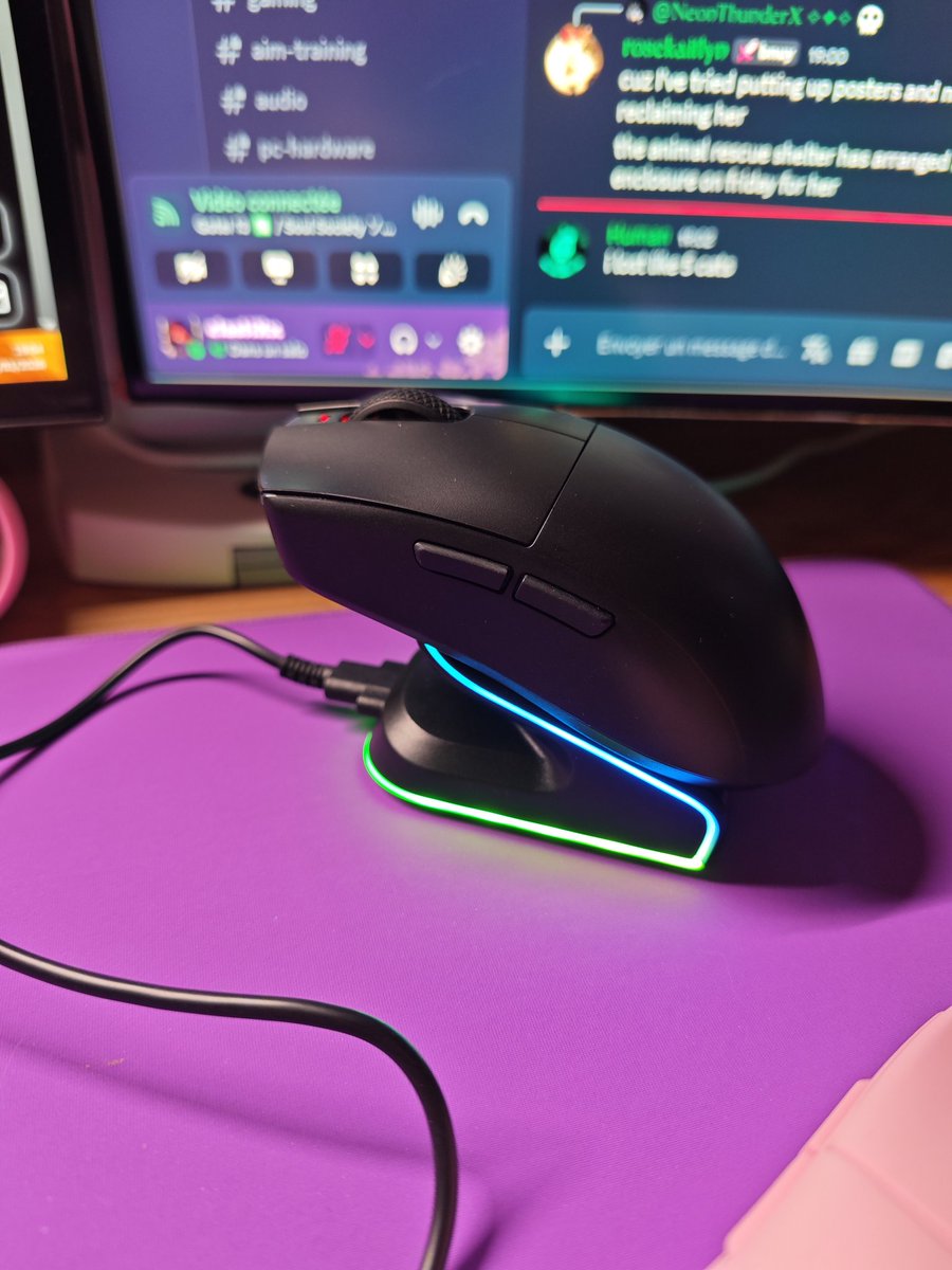 elastiXx | Peripheral tweet media