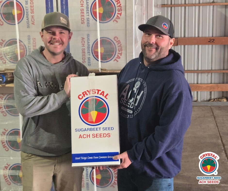 Crystal Beet Seed_ACH Seeds tweet media