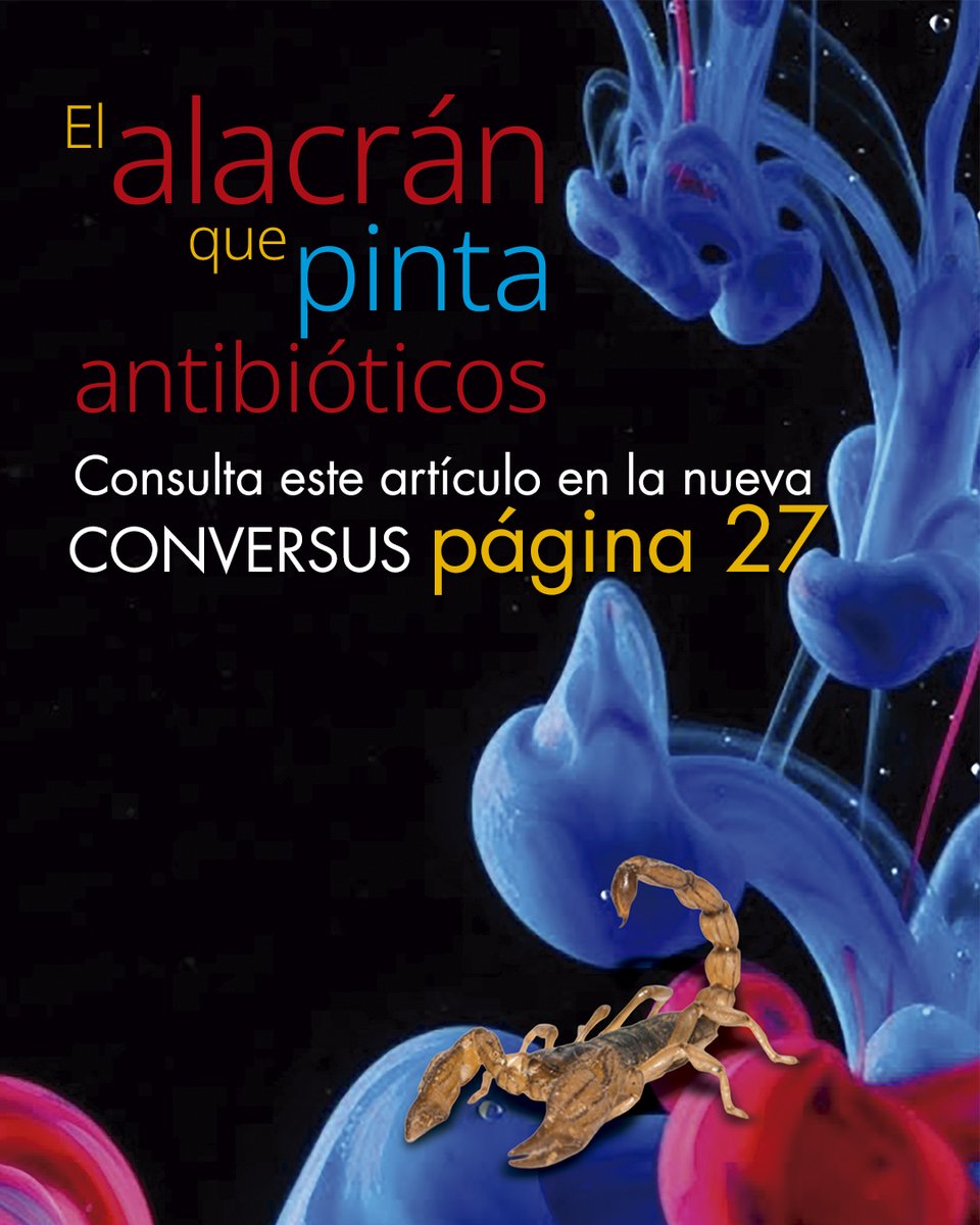 Conversus IPN tweet media