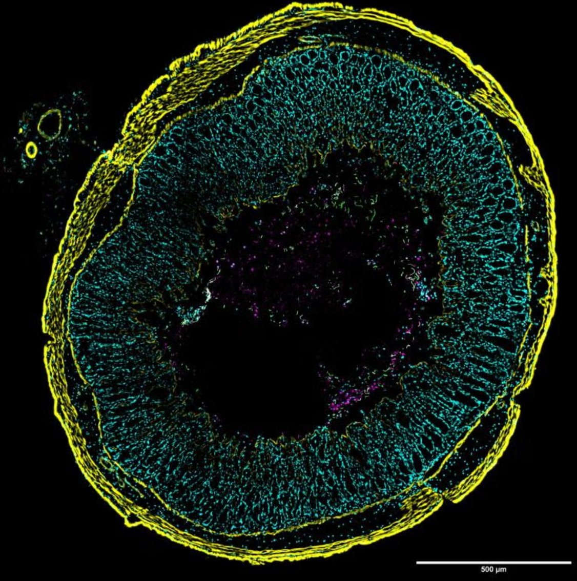 Science in Boston tweet media