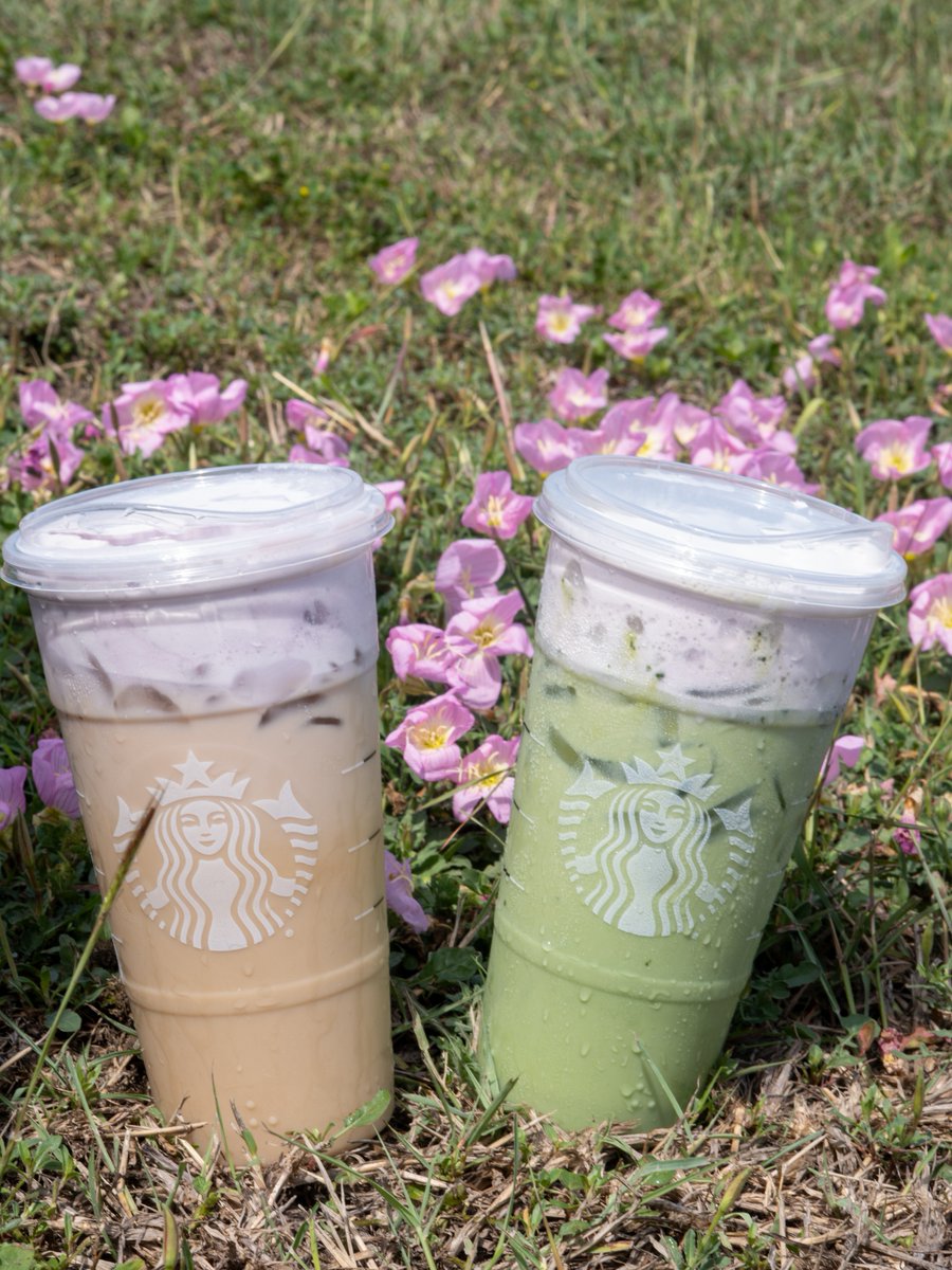 Islander Dining tweet media