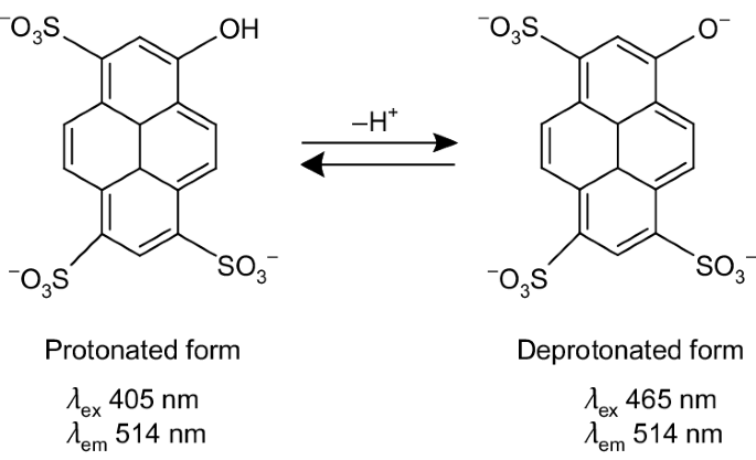 Nature Protocols tweet media