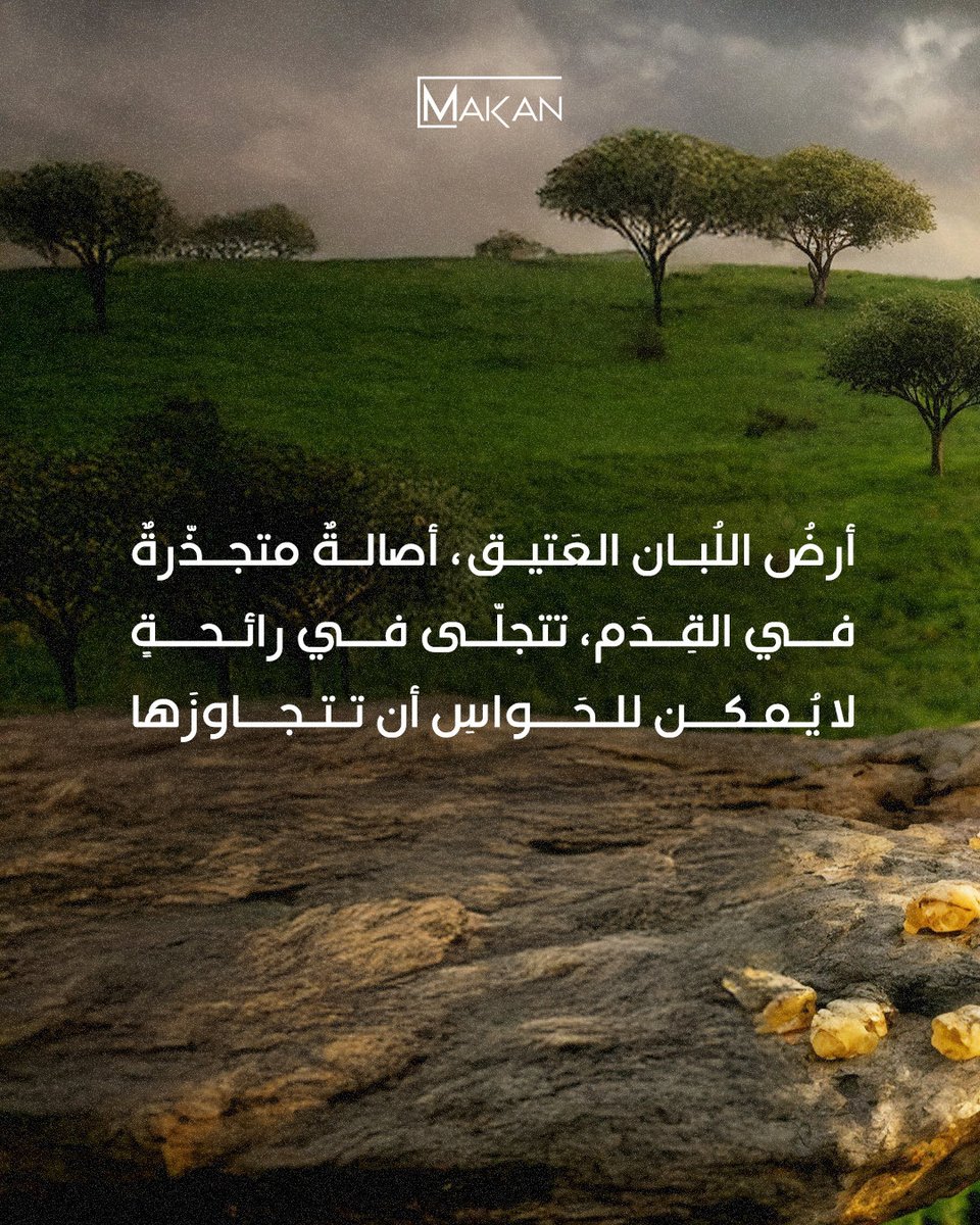 [ DHOFAR ]

أرضُ اللُبان العَتيق، أصالةٌ متجذّرةٌ
فــي الـقِـدَم، تـتجلّى فـي رائـحـةٍ
لا يُمكن للـحَـواسِ أن تتجـاوزَها.

-
عطر الأصالة العمانية

 MAKAN-PERFUMES.COM

#لكل_مكان_رائحة