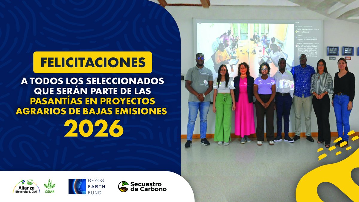 Alianza de Bioversity International y el CIAT tweet media