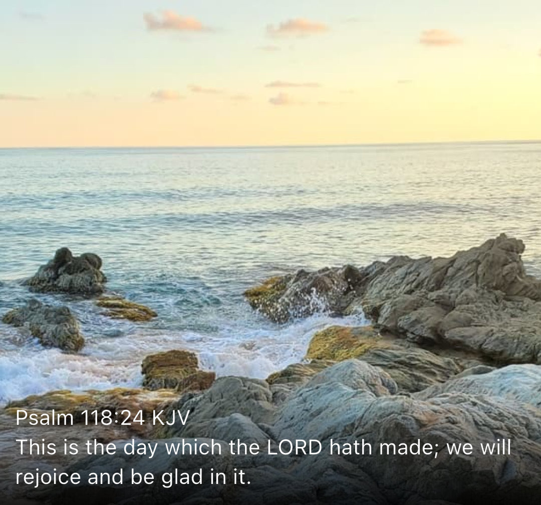 New Testament Christian Church Of Brooklyn, NY tweet media