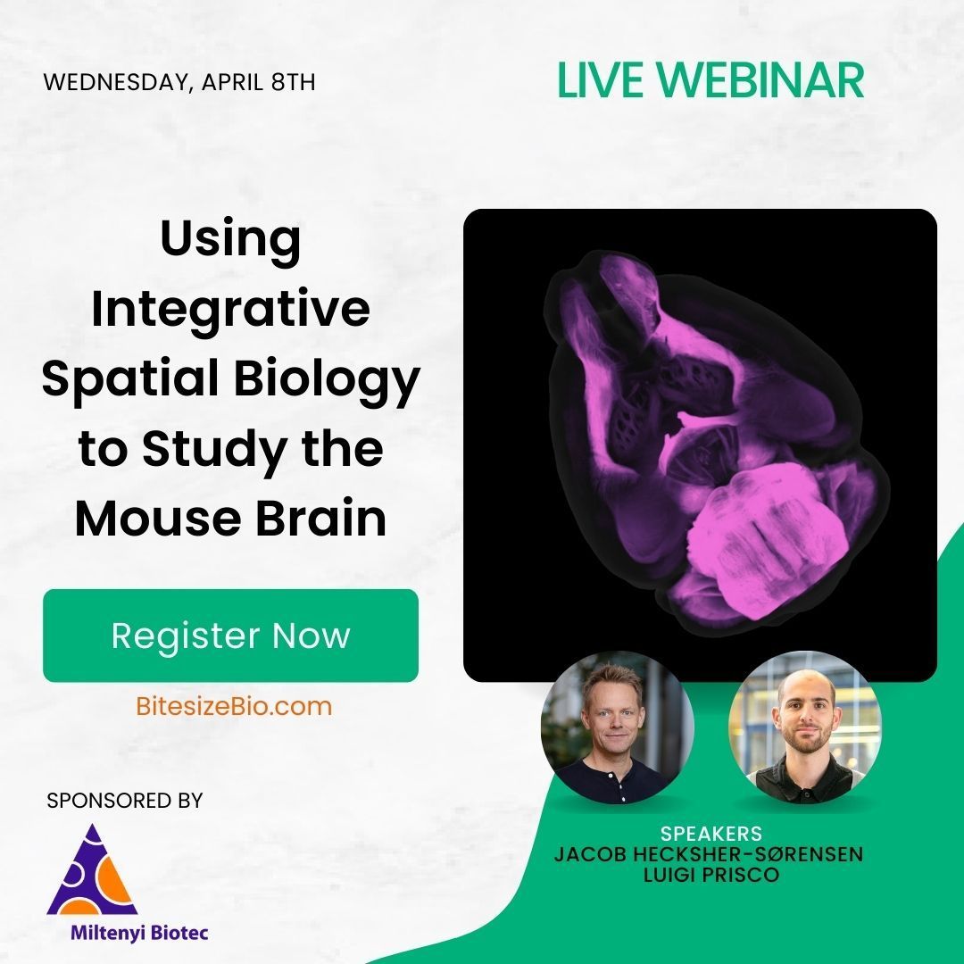 Bitesize Bio tweet media