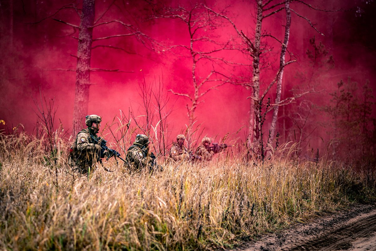 Canadian Army tweet media