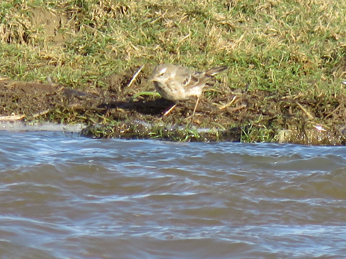 Peter Garbutt tweet media