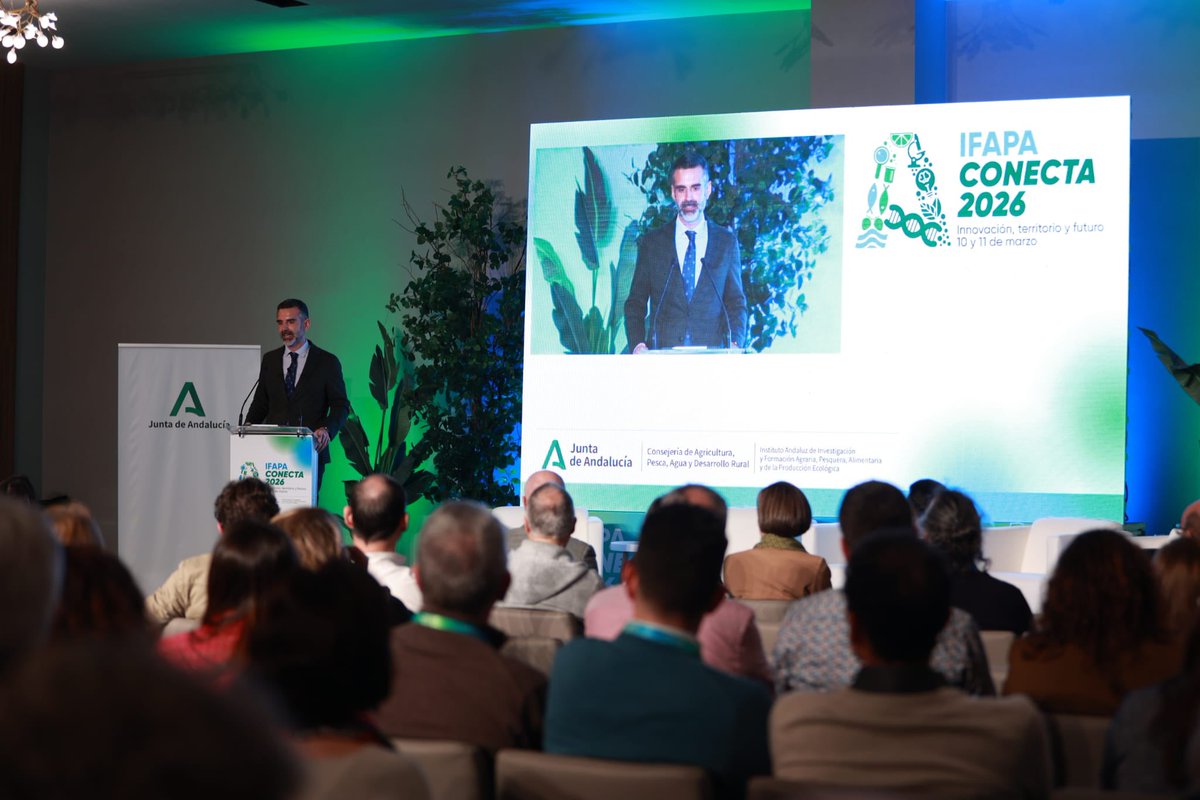 Ramón Fernández-Pacheco M tweet media