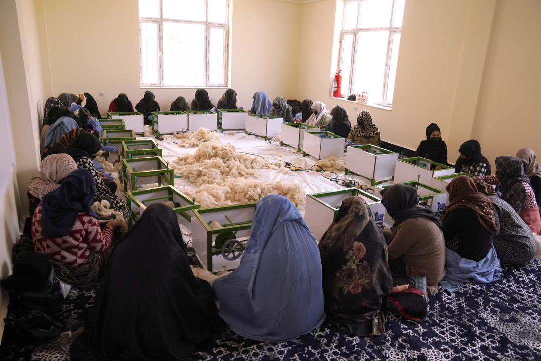 UNHCR Afghanistan tweet media