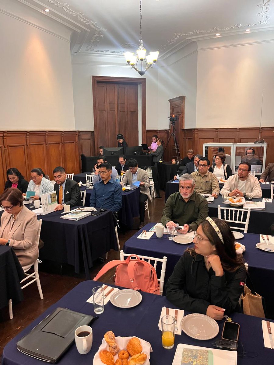 Camimex Oficial tweet media