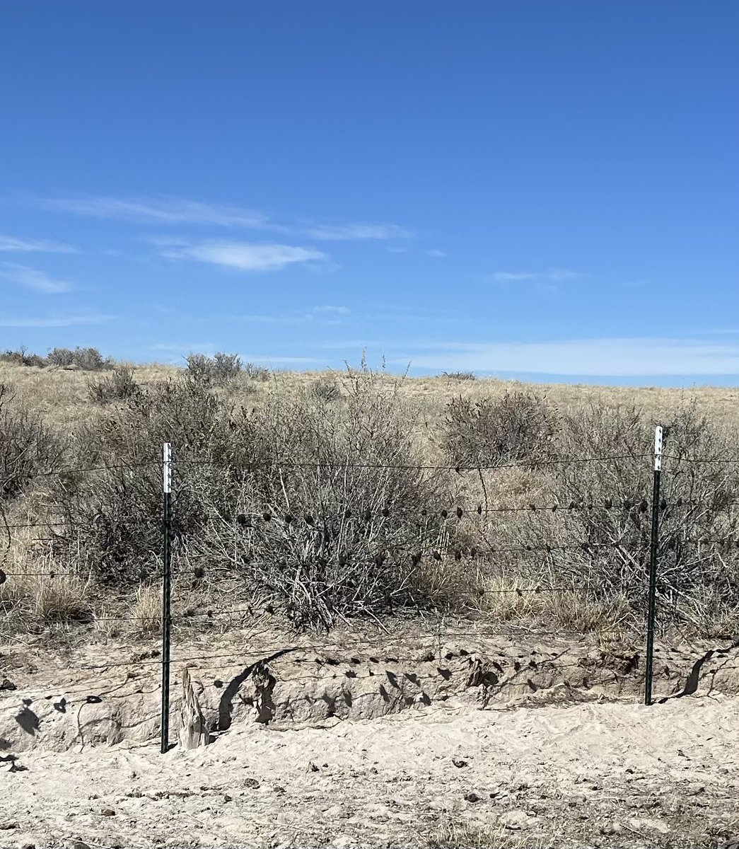 Jimmy McMath tweet media