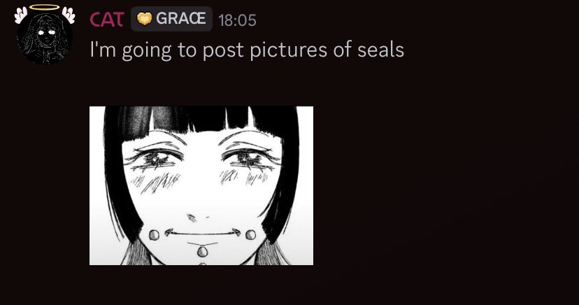 TAKEDOWN tweet media