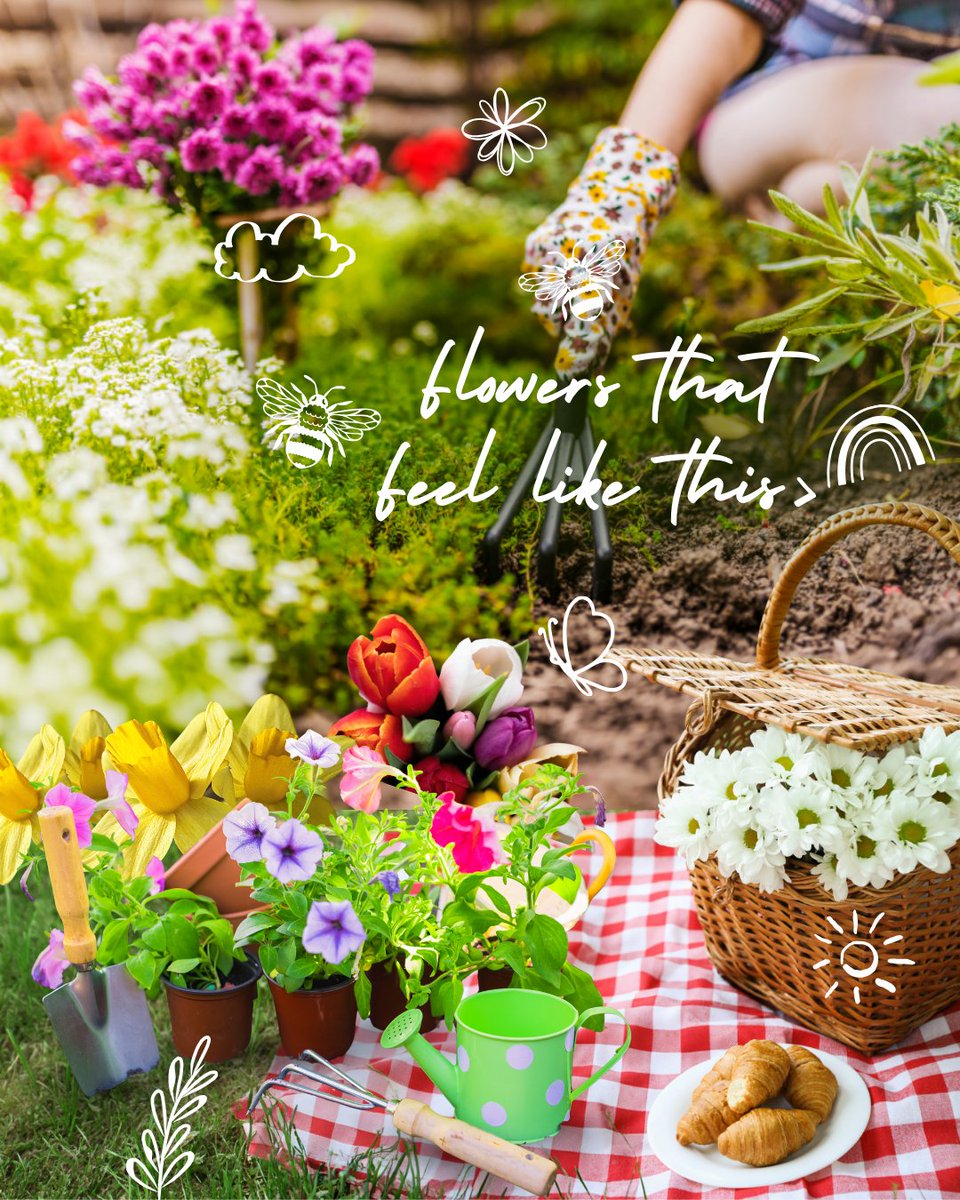 Central Sq Florist tweet media