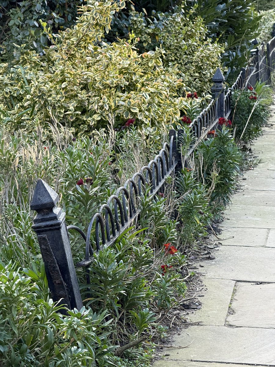 Robert Kwolek tweet media