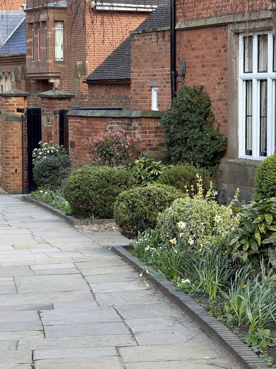 Robert Kwolek tweet media