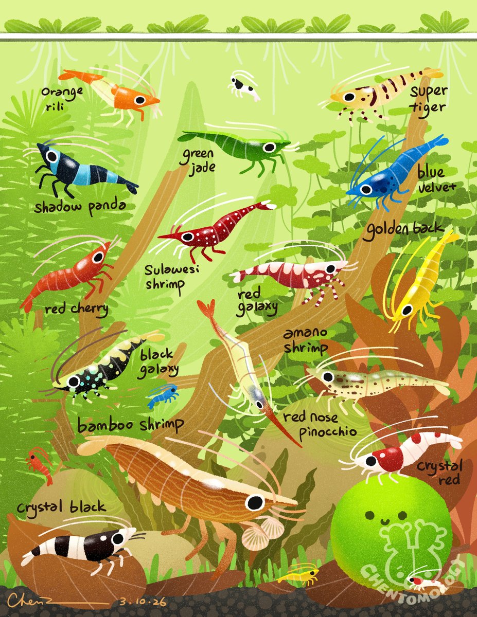 Chentomology tweet media