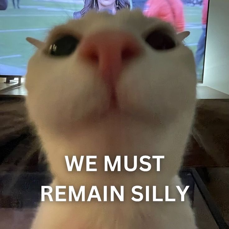 PogMalone tweet media