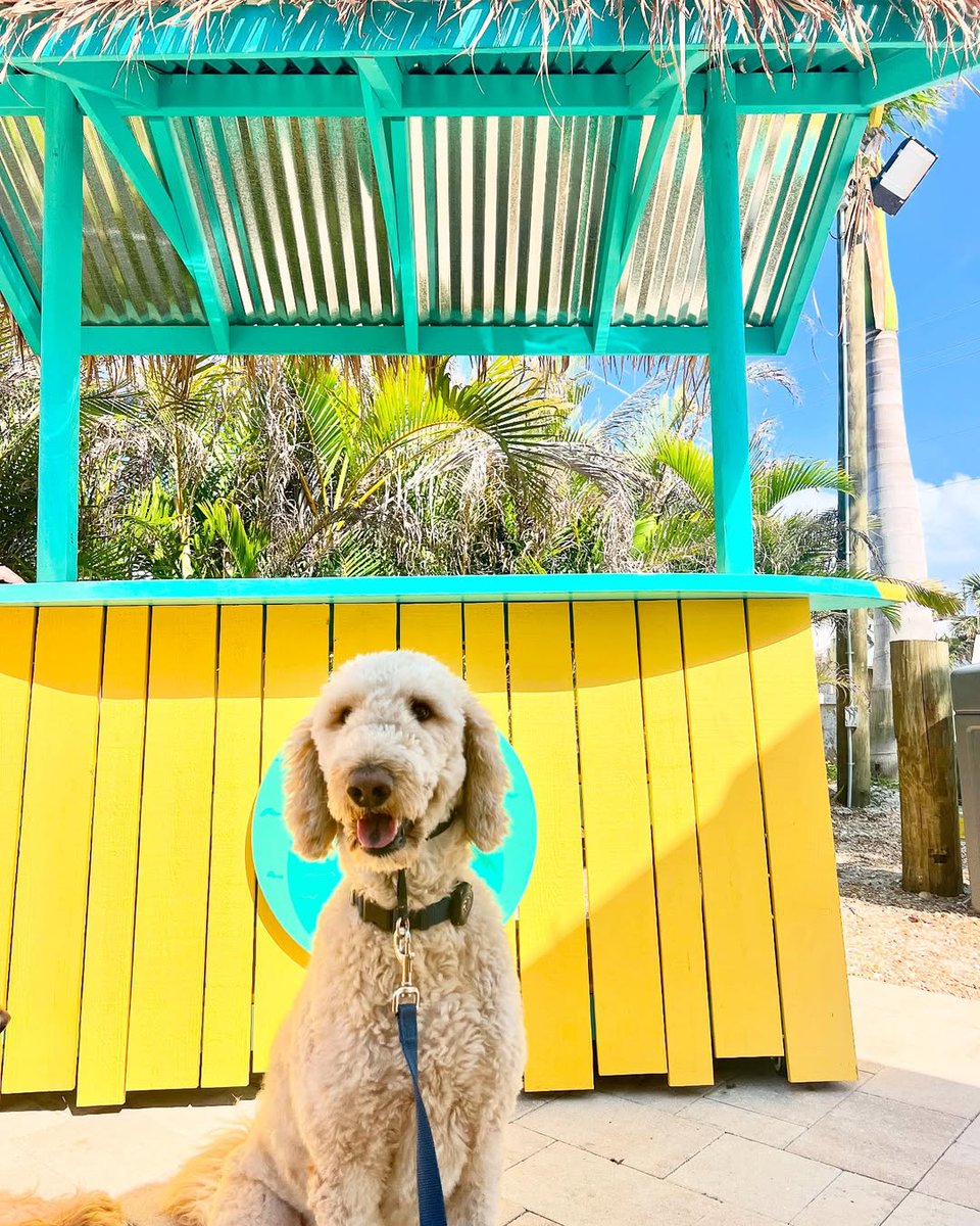 Punta Gorda/Englewood Beach tweet media