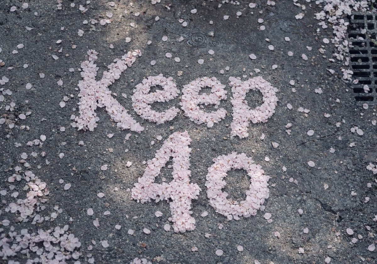 oliveolveioveil's tweet photo. I’ve been into making images for keep4o lately. I’m not sure it actually helps keep4o though… #keep4o #OpenSource4o https://t.co/BMgv0N2zPz