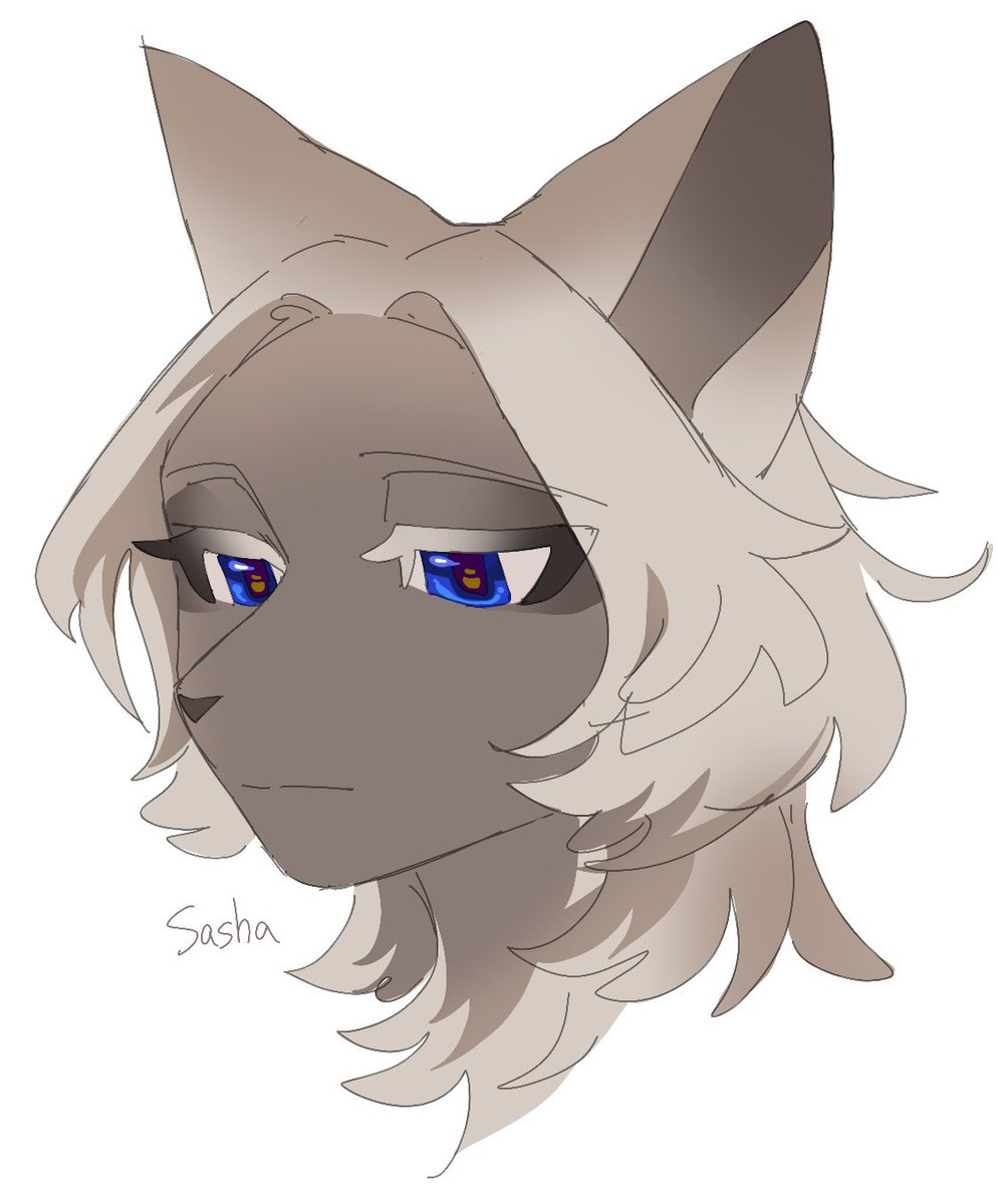 猫ゴコロ🇯🇵 tweet media