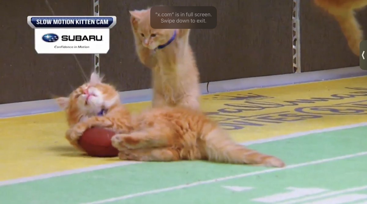 Some guy tweet media