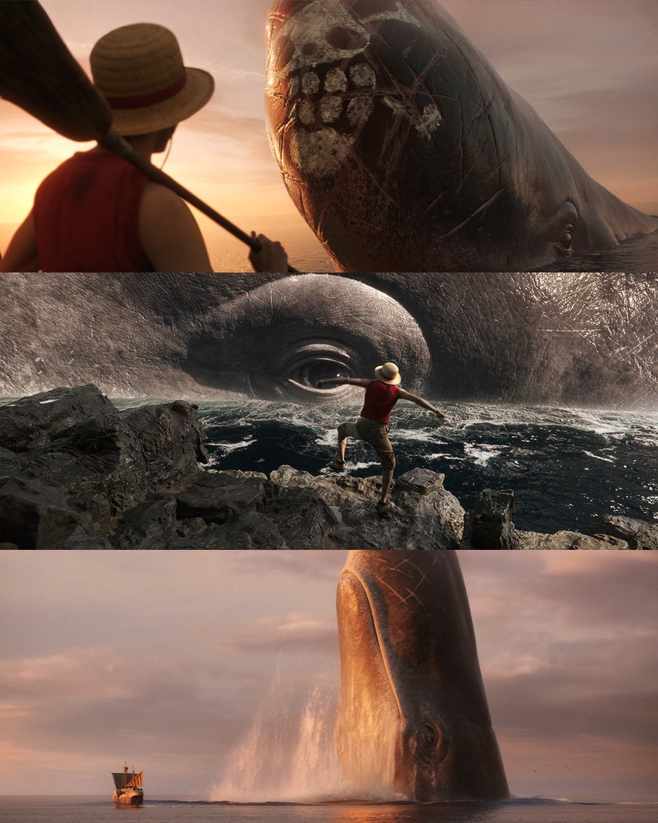 NetflixBrasil's tweet photo. 🐋🐋 LABOOOOOOOON 🐋🐋 https://t.co/7M8TW1Y5ke