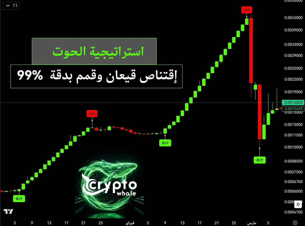 Crypto Whale ᴾʳᵒ tweet media