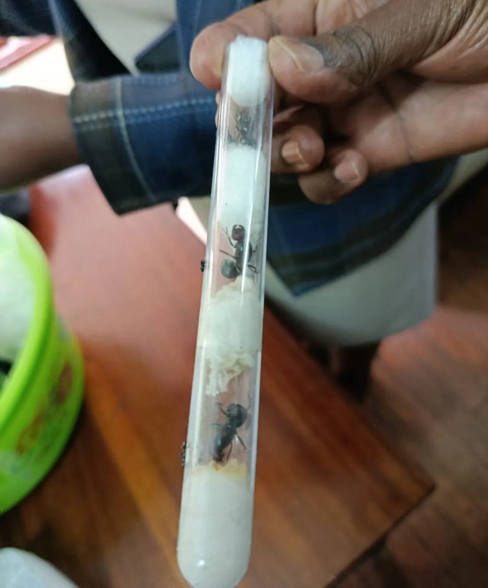 KENYA GOSSIP HUB tweet media