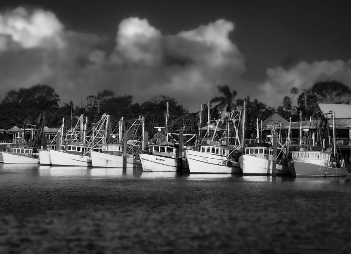 Still Air tweet media