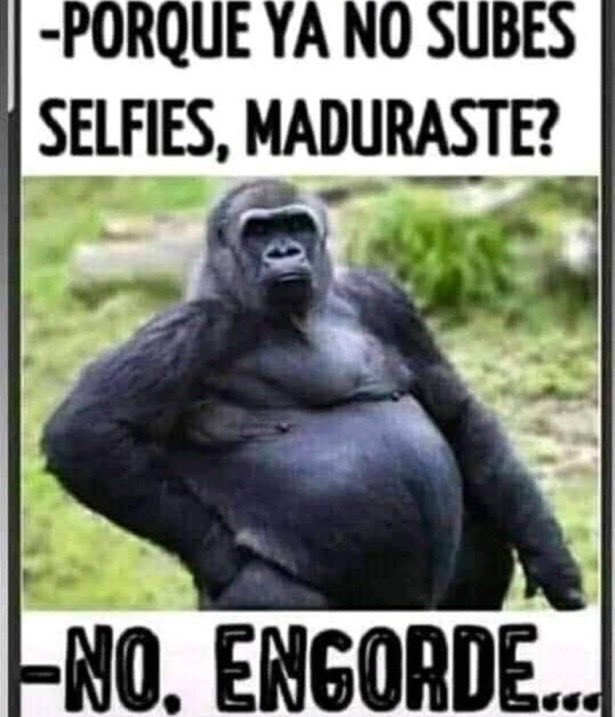 Yo, dentro de poco 🤭