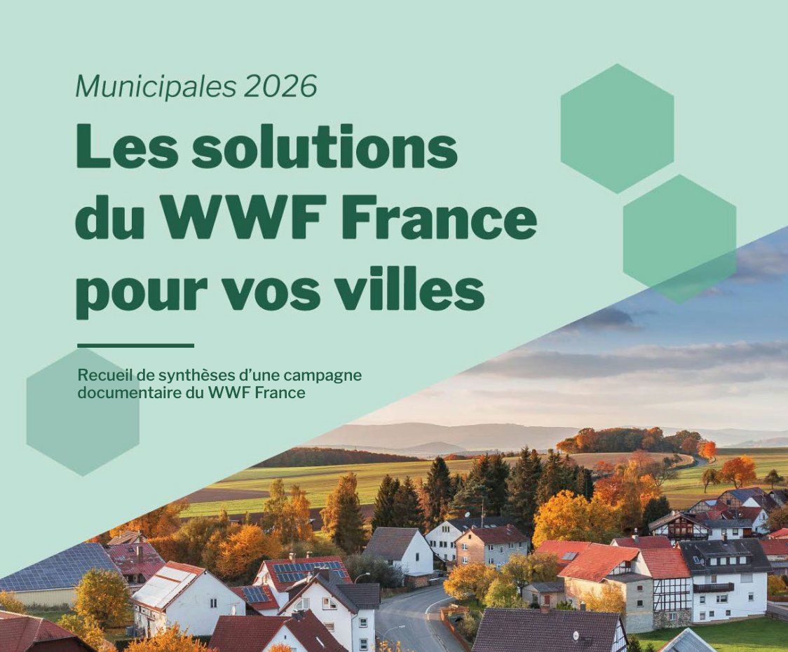 CDURABLE.info tweet media