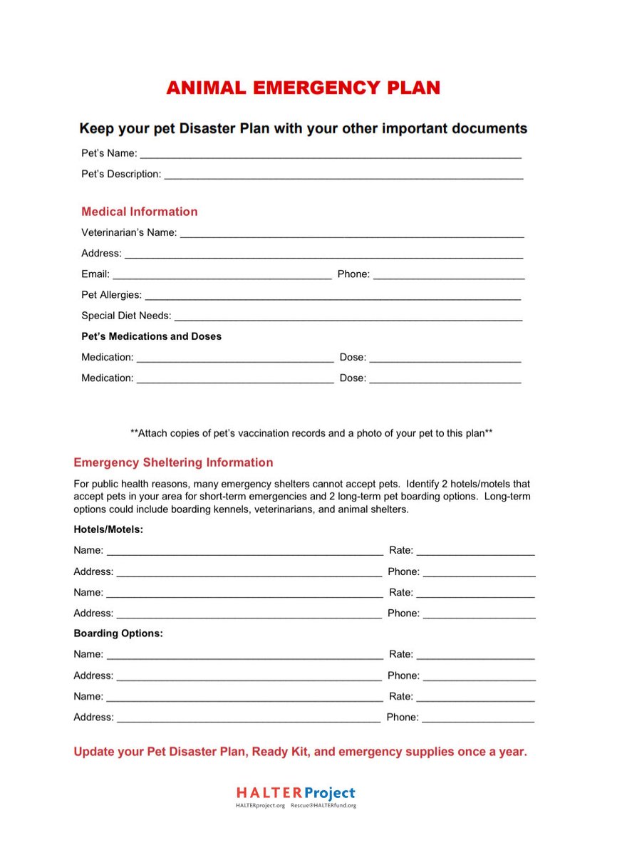 Halter Project tweet media