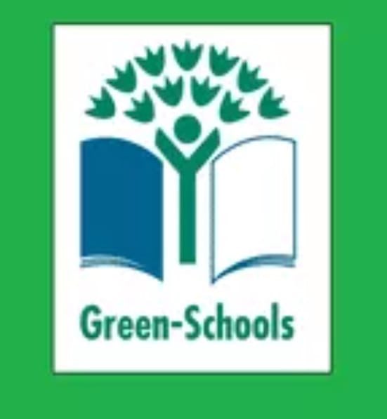 Castletroy College tweet media