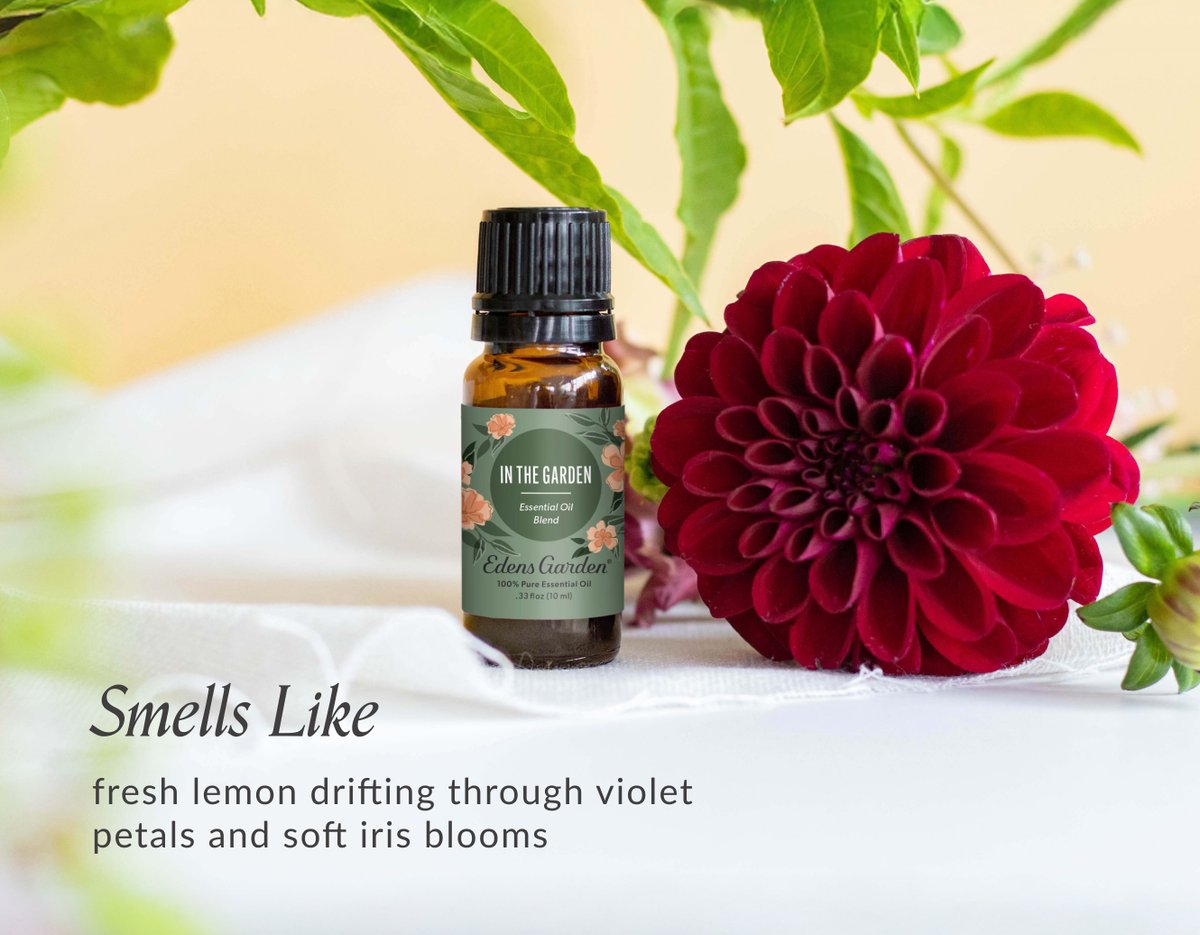 EdensGardenOils's tweet image. Lemon. Violet. Iris.

In The Garden pairs fresh citrus with soft florals for a serene #essentialoil blend inspired by blooming spring gardens. 🌿🌸

Shop Now ➙ tinyurl.com/3efz2w3b