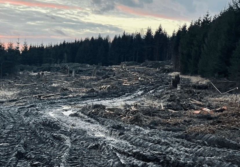 Rico Brick tweet media