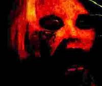 sunny the bandit tweet media